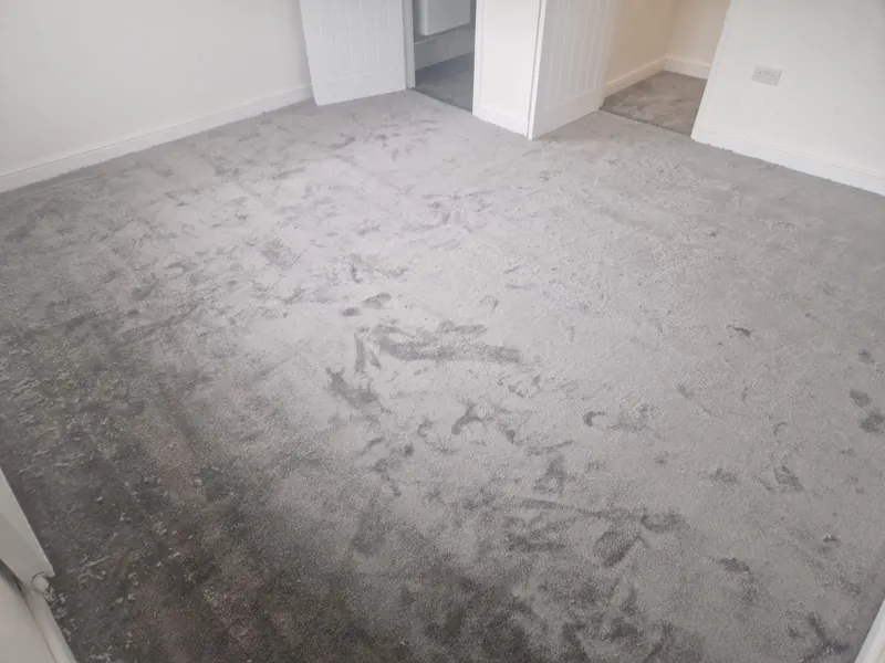 Bedroom carpet up to the doorway