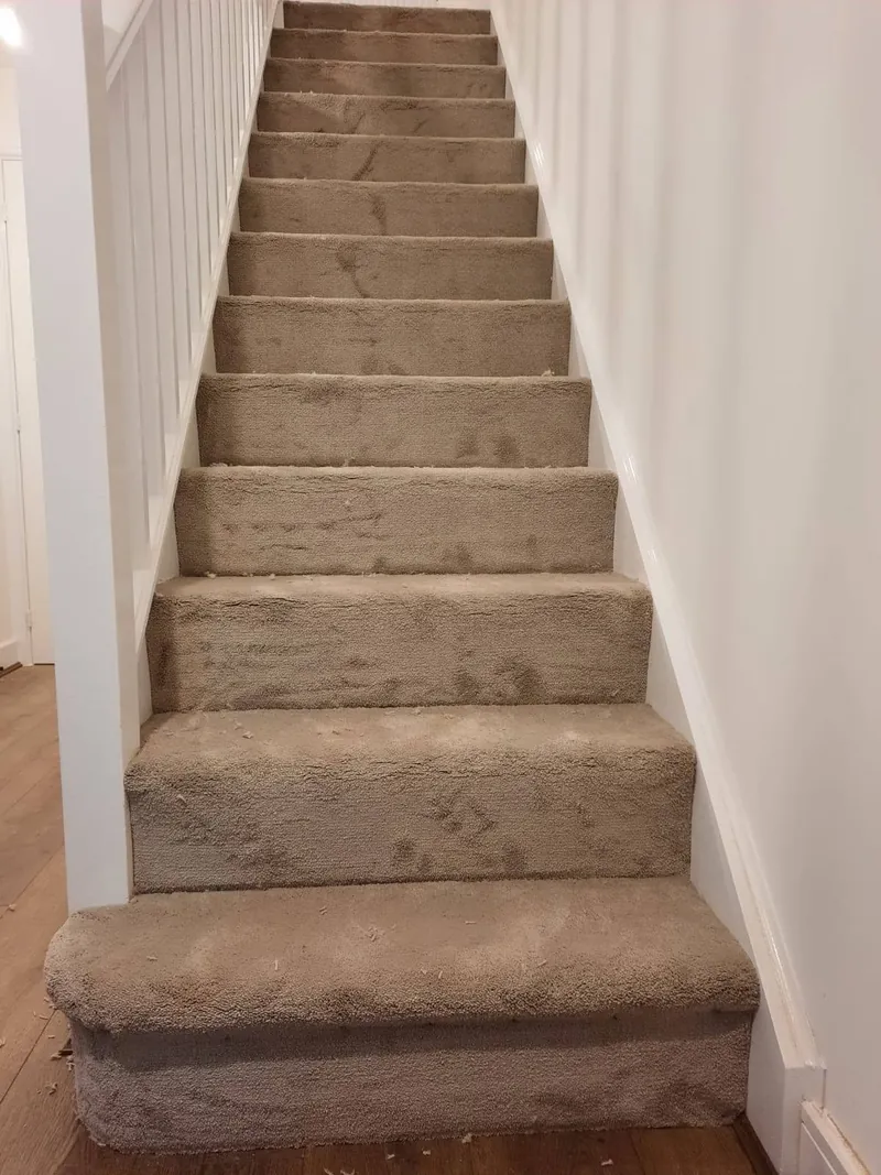 Carpeted staircase